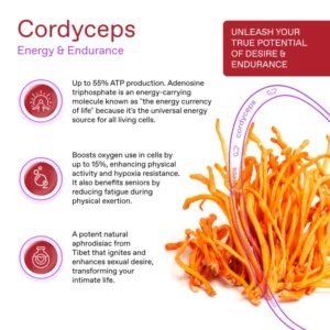 Cordyceps – THE FEEL COFFEE PODS