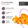 Chanterelle – THE JOY COFFEE PODS