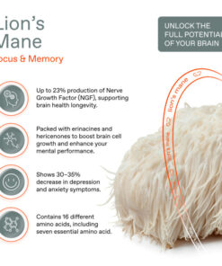 Lion’s Mane – THE SENSE MUSHROOM COFFEE PODS