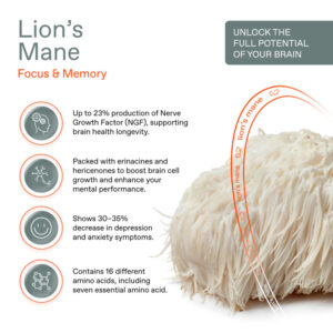 Lion’s Mane – THE SENSE MUSHROOM COFFEE PODS
